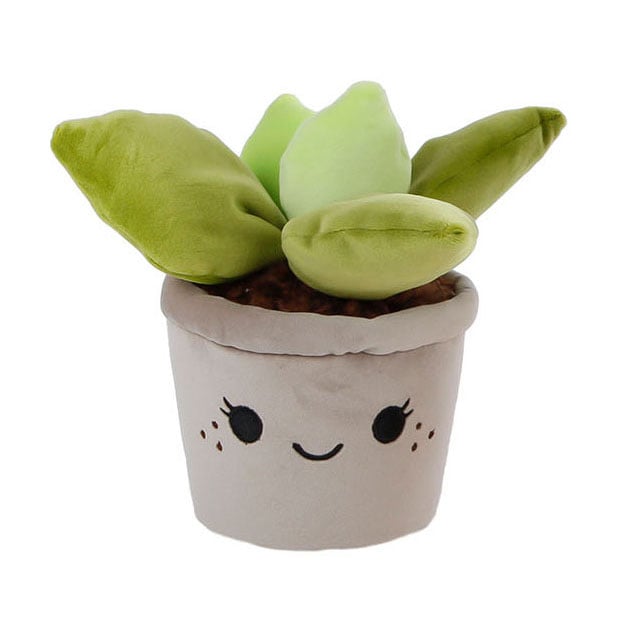 Take Me Home plant pluche XL professional product photo ready to upload to shopify