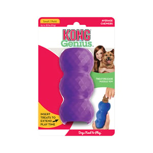 KONG Genius Mike product photo