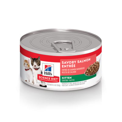HILLS SCIENCE DIET Cat Salmon Entree Kitten Canned Food product photo