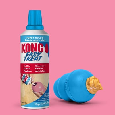 Kong Paste Puppy product photo