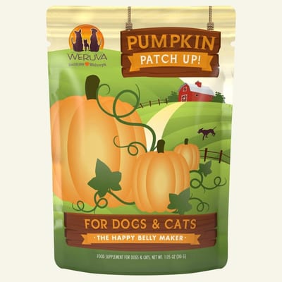 WERUVA Pumpkin Patch Dog and Cat Food 2.8oz Pouch product photo