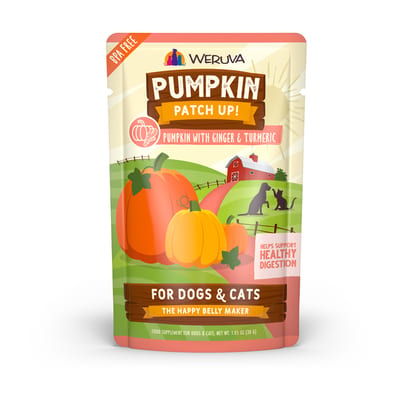 WERUVA Pumpkin Patch Up Pumpkin Ginger & Turmeric 1.05oz product photo