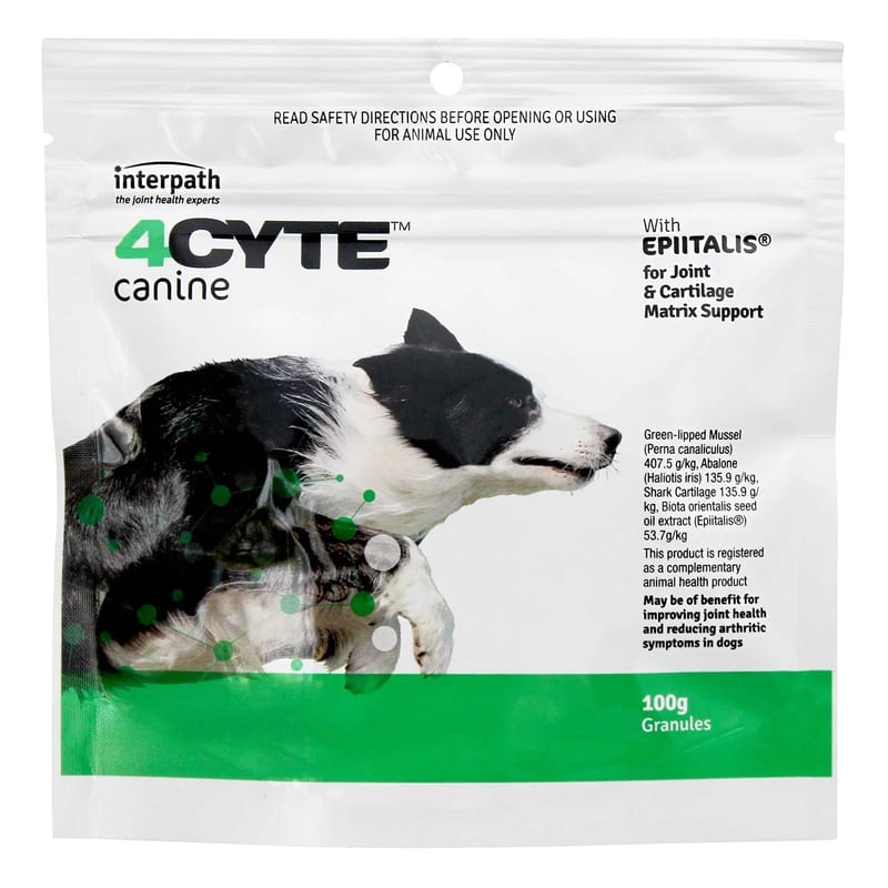 4CYTE Canine Joint Support Granules professional product photo ready to upload to shopify