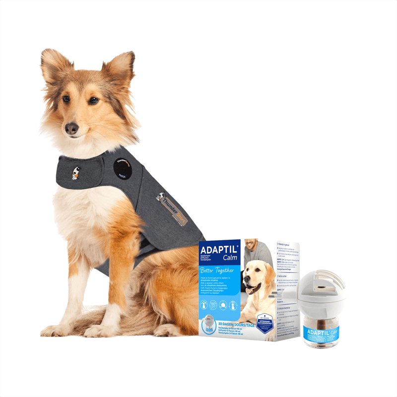 ADAPTIL Calming Shirt for Dogs professional product photo ready to upload to shopify