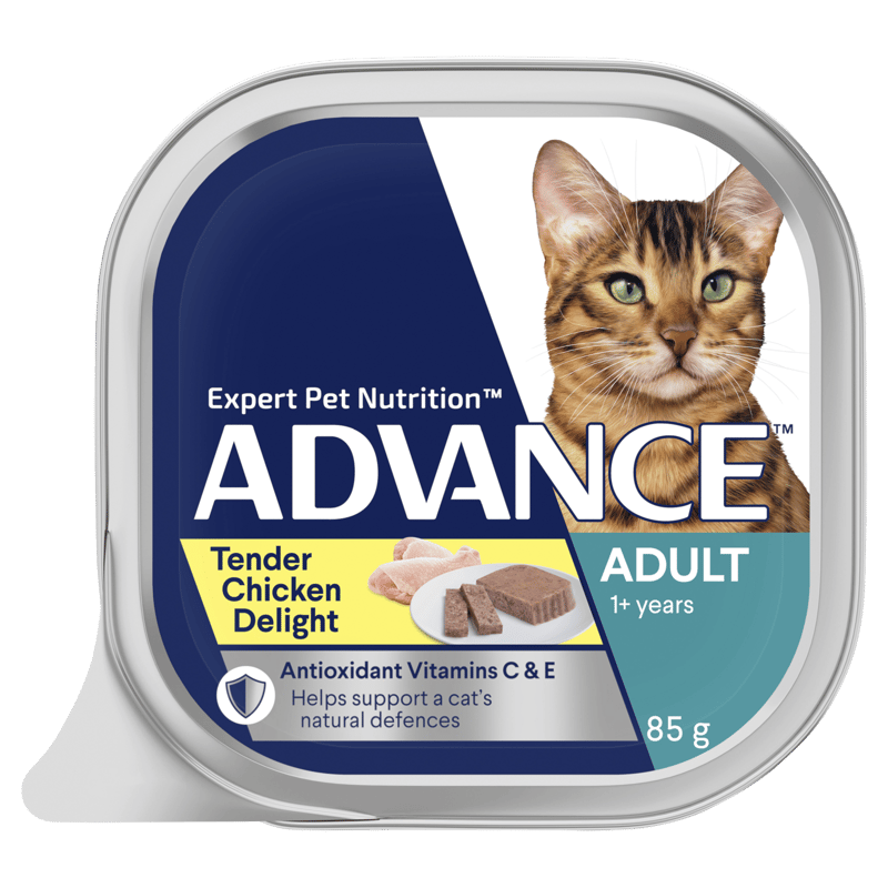 ADVANCE Adult 1+ Years Wet Cat Food Tender Chicken Delight professional product photo ready to upload to shopify