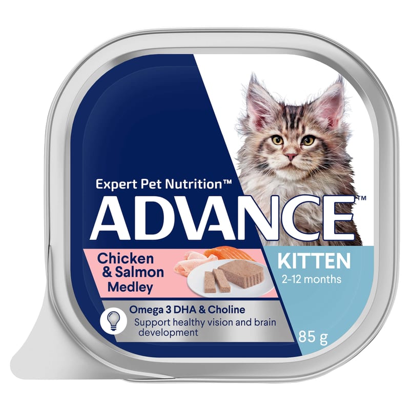 ADVANCE Kitten Wet Cat Food Chicken & Salmon Medley Trays professional product photo ready to upload to shopify