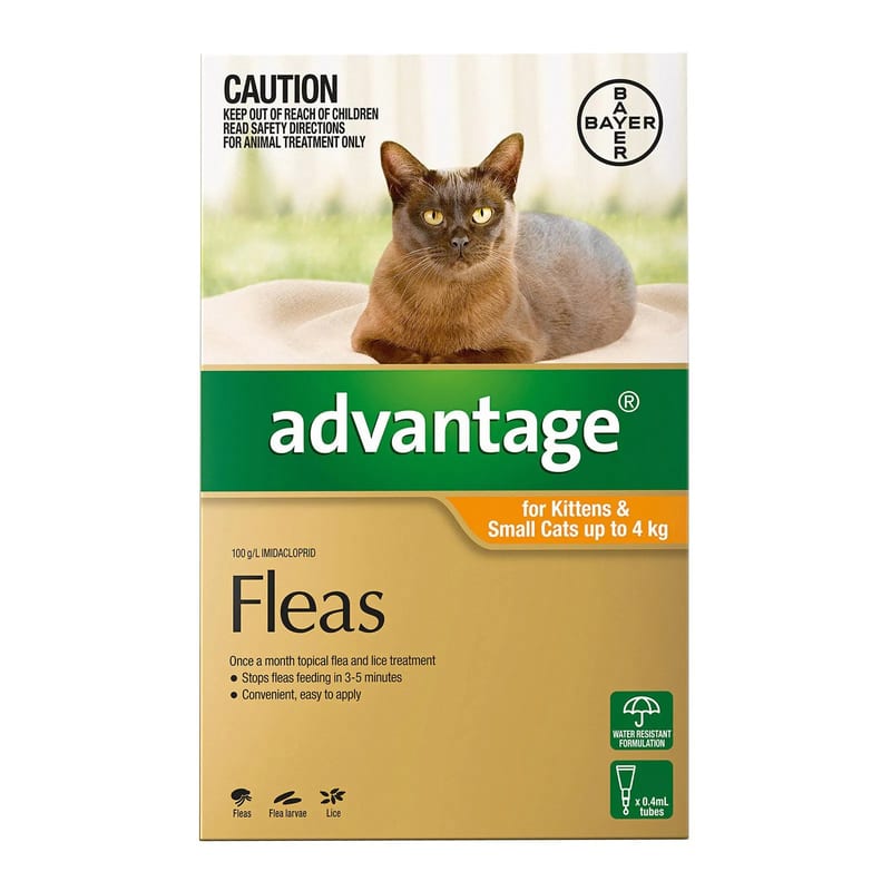 ADVANTAGE Flea Treatment for Cats and Kittens Up to 4 kg professional product photo ready to upload to shopify