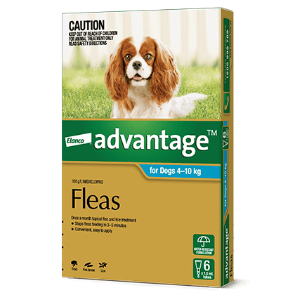 ADVANTAGE Flea Treatment for Dogs 4-10 kg professional product photo ready to upload to shopify