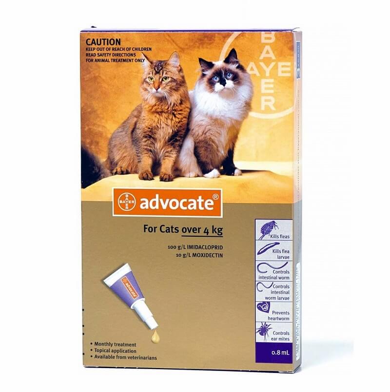 ADVOCATE Spot-On Flea and Worm Treatment for Cats Over 4 kg professional product photo ready to upload to shopify