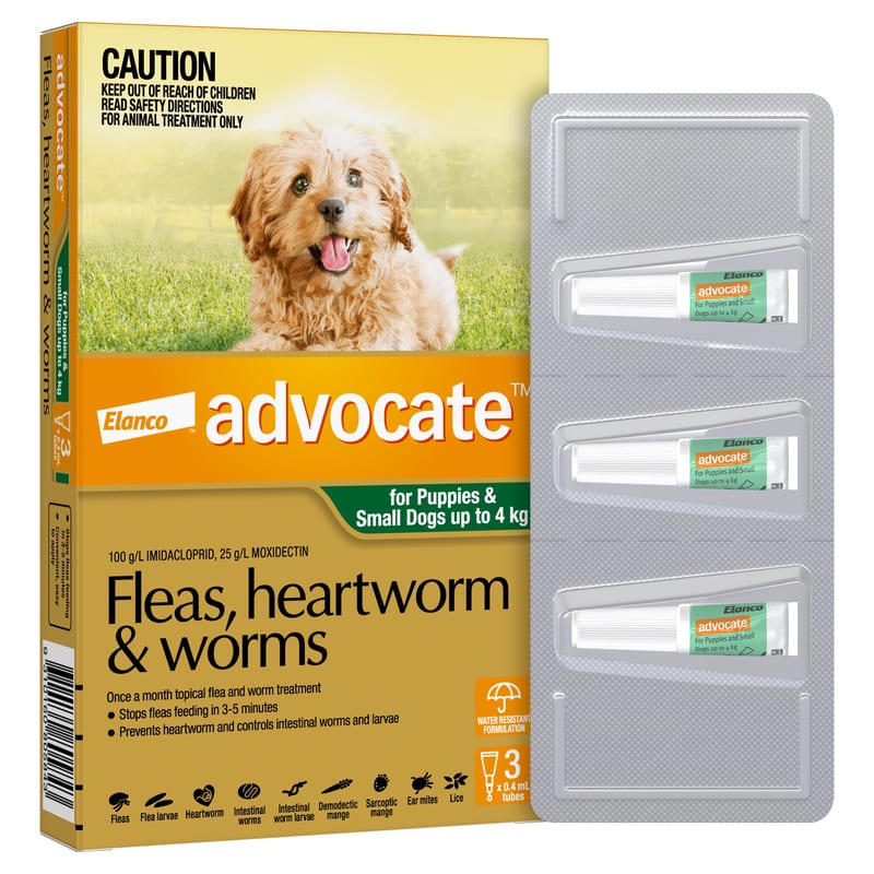ADVOCATE Spot-On Flea and Worm Treatment for Dogs Up to 4 kg professional product photo ready to upload to shopify