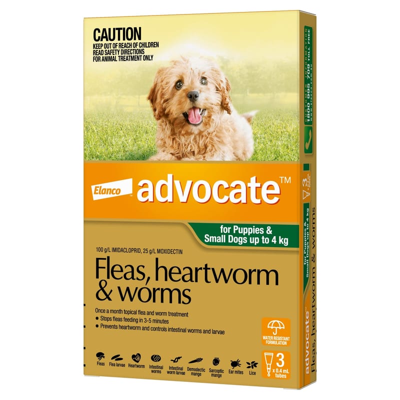 ADVOCATE Spot-On Flea and Worm Treatment for Dogs Up to 4 kg professional product photo ready to upload to shopify
