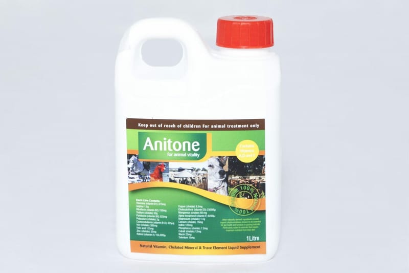 Anitone Wellness and Vitality Liquid Feed Supplement professional product photo ready to upload to shopify