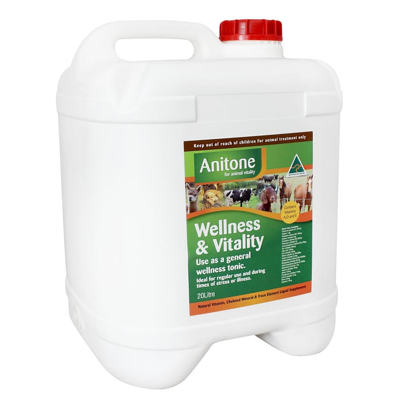 Anitone Wellness and Vitality Liquid Feed Supplement professional product photo ready to upload to shopify
