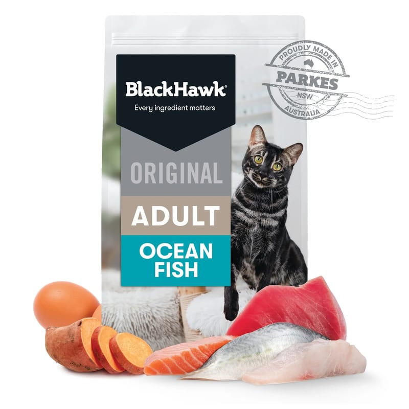 Black Hawk Adult Dry Cat Food Ocean Fish professional product photo ready to upload to shopify