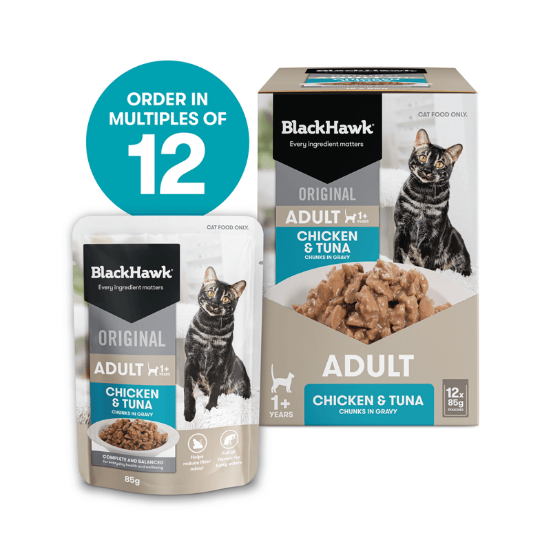 Black Hawk Adult Wet Cat Food Chicken & Tuna in Gravy 12 x 85g professional product photo ready to upload to shopify
