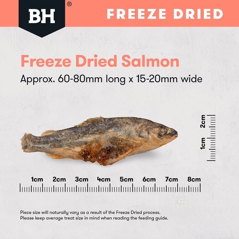 Black Hawk Freeze Dried Dog Treats Whole Salmon 45g professional product photo ready to upload to shopify