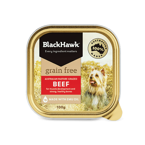 Black Hawk Grain Free Adult Wet Dog Food Beef professional product photo ready to upload to shopify