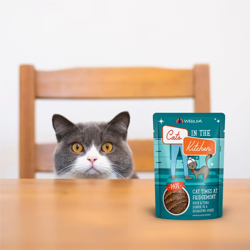Cats in the Kitchen Grain Free Breakfast Cat Food 3oz Pouch professional product photo ready to upload to shopify