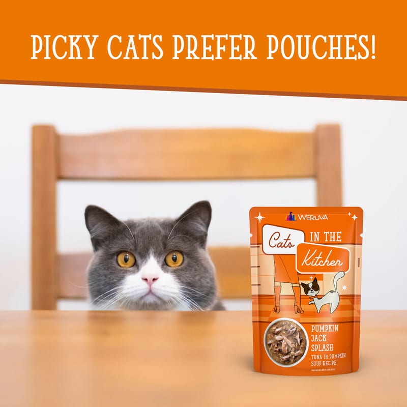 CATS IN THE KITCHEN CAT PUMPKIN JACK 3OZ POUCH professional product photo ready to upload to shopify