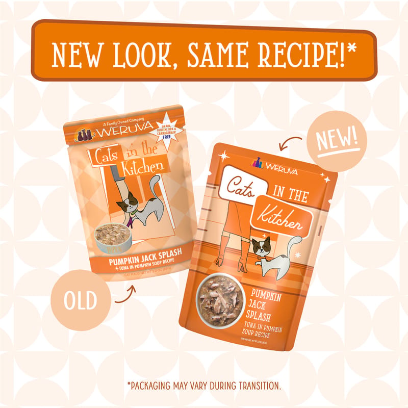 CATS IN THE KITCHEN CAT PUMPKIN JACK 3OZ POUCH professional product photo ready to upload to shopify