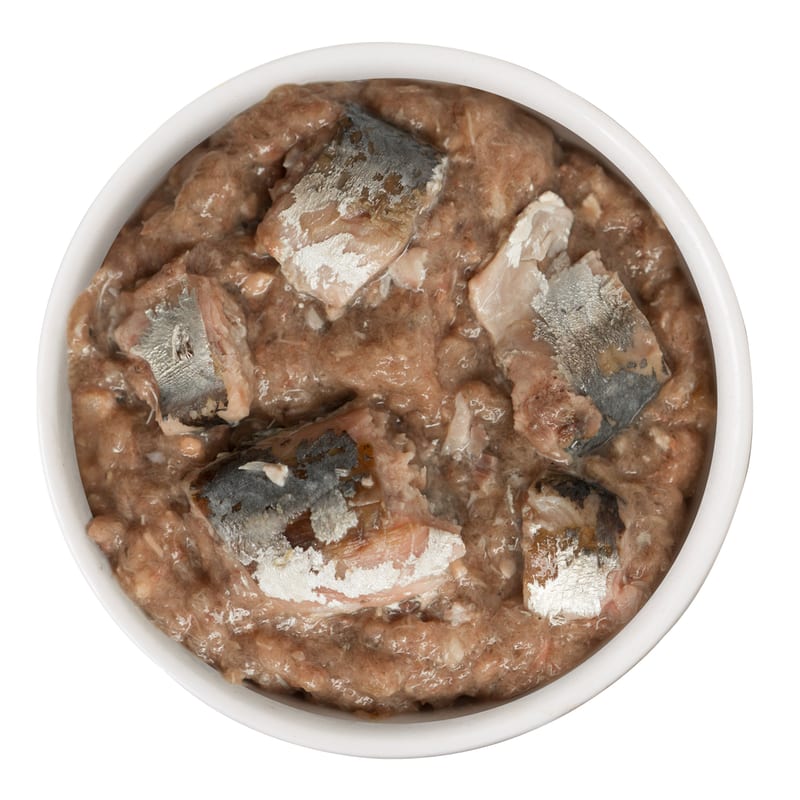 CATS IN THE KITCHEN KITTY GONE WILD 6OZ professional product photo ready to upload to shopify