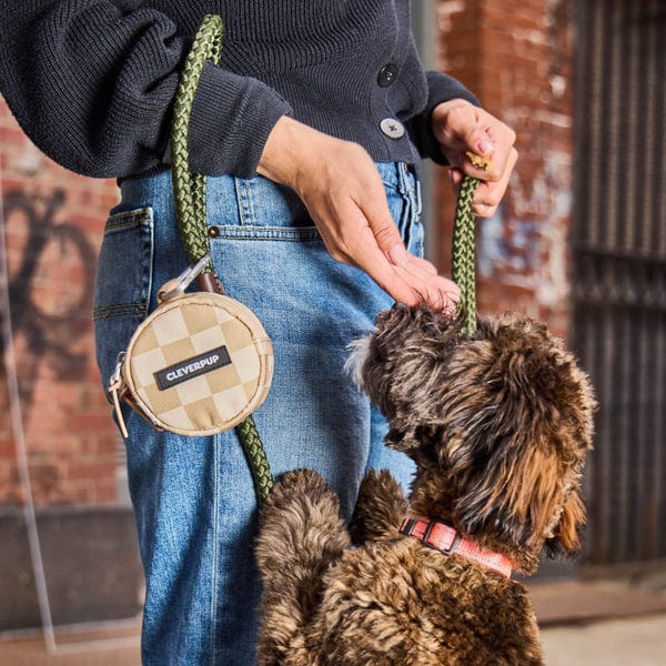 CLEVERPUP Dog Snackpack Double Insulated Treat Pouch professional product photo ready to upload to shopify