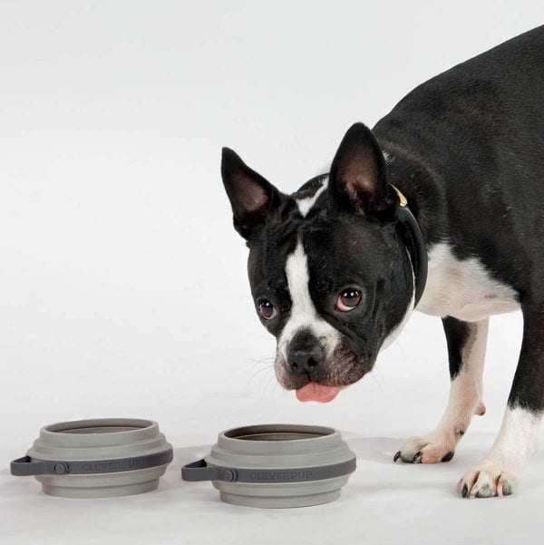 CLEVERPUP Nomad Collapsible Bowl - Small professional product photo ready to upload to shopify