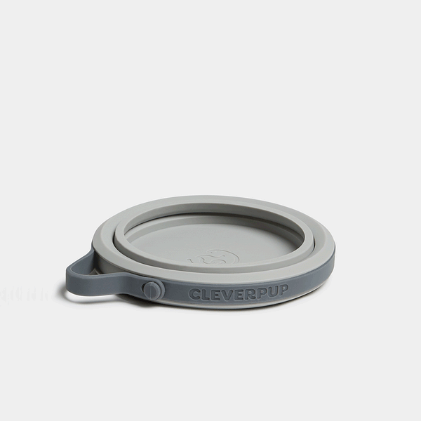 CLEVERPUP Nomad Collapsible Bowl - Small professional product photo ready to upload to shopify