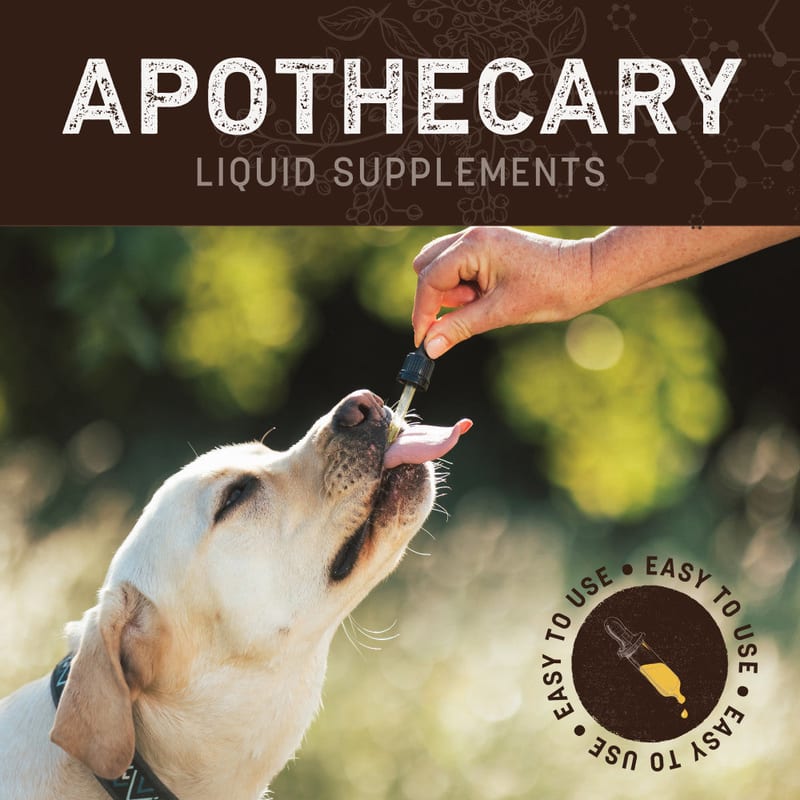 EARTH ANIMAL Dog Allergy & Skin 2oz professional product photo ready to upload to shopify