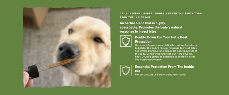 EARTH ANIMAL DOG APOTHECARY NATURAL FLEA & TICK DAILY INTERNAL HERBAL DROPS 2OZ professional product photo ready to upload to shopify
