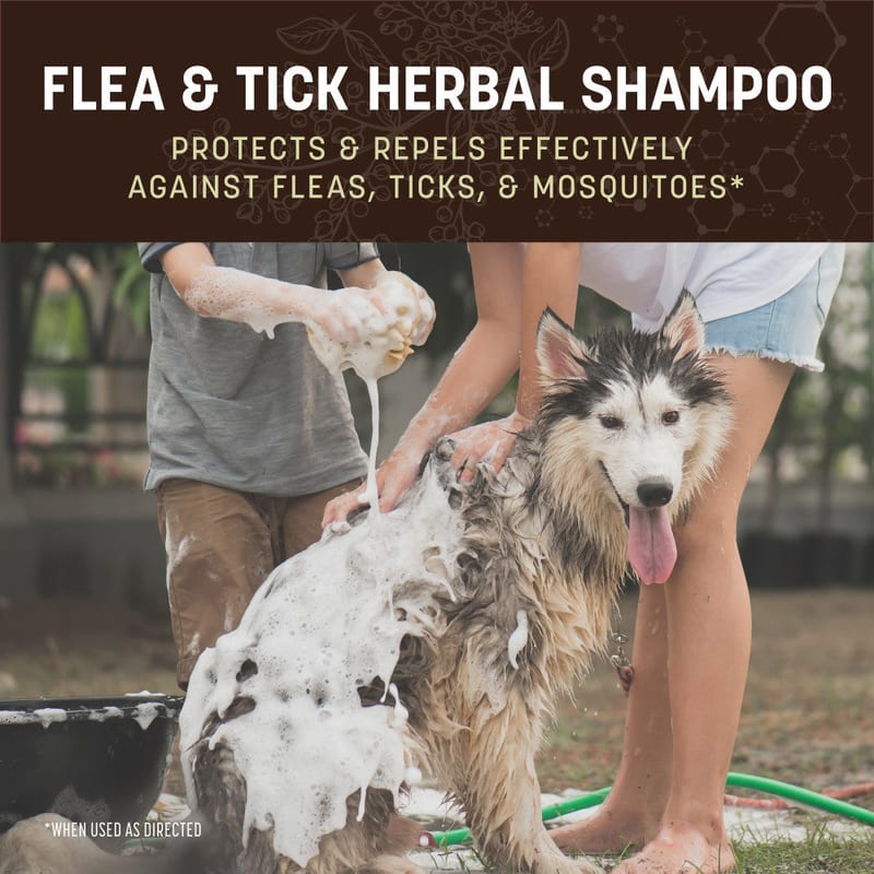 EARTH ANIMAL DOG APOTHECARY NATURAL FLEA & TICK HERBAL SHAMPOO 12OZ professional product photo ready to upload to shopify