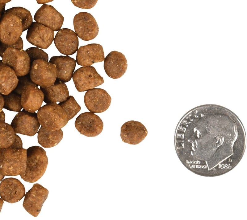FROMM Kitten Gold Dry Food professional product photo ready to upload to shopify