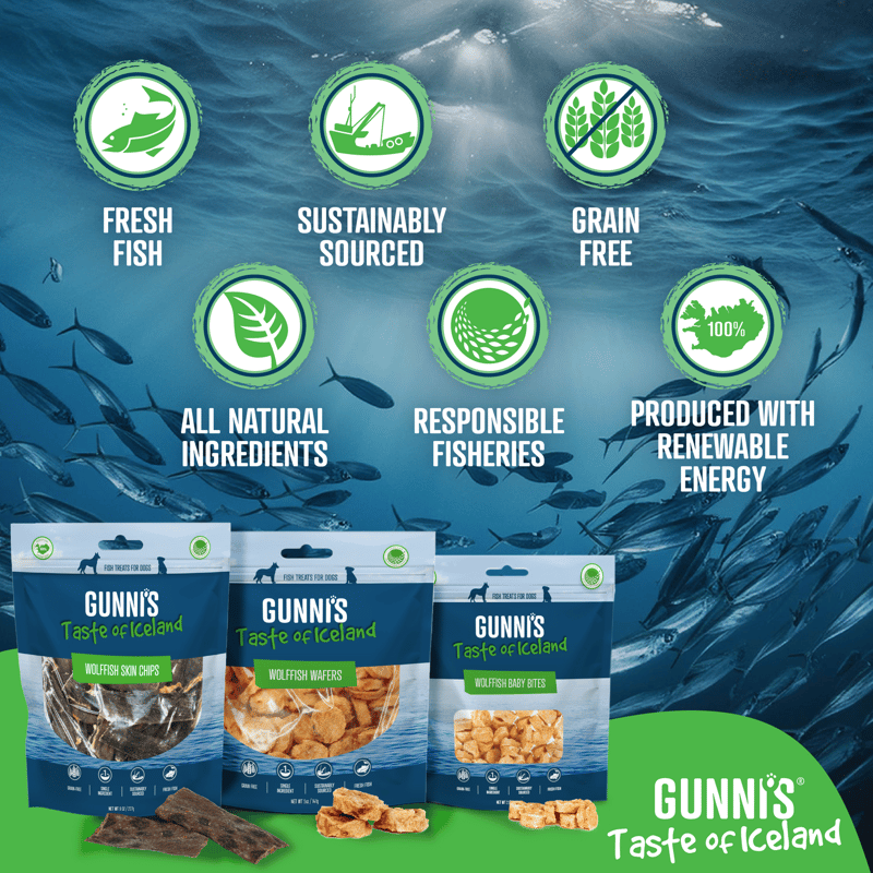GUNNI'S DOG WOLFFISH SKIN SHORTIES 2.5OZ professional product photo ready to upload to shopify