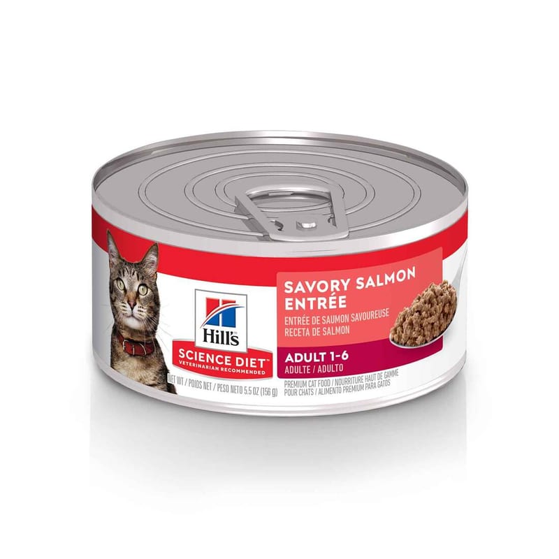HILLS SCIENCE DIET Cat Salmon Entree Kitten Canned Food professional product photo ready to upload to shopify
