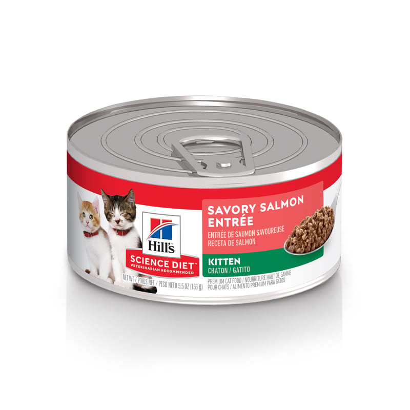 HILLS SCIENCE DIET Cat Salmon Entree Kitten Canned Food professional product photo ready to upload to shopify