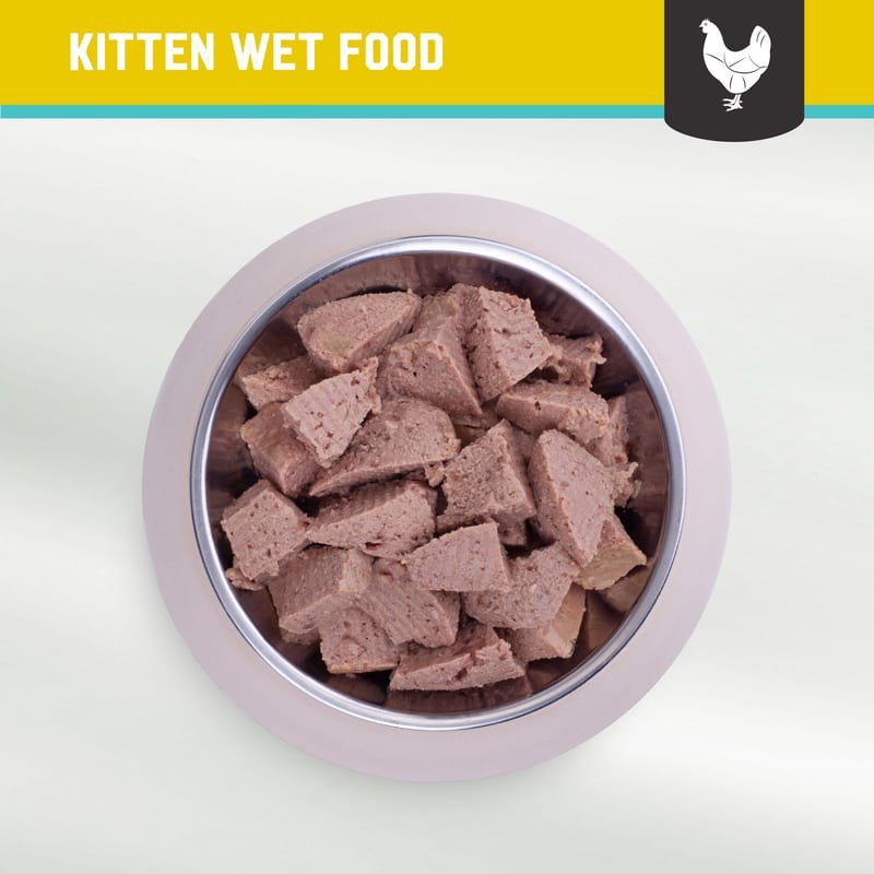 Kiwi Kitchens Kitten Chicken & Mussel 170g professional product photo ready to upload to shopify