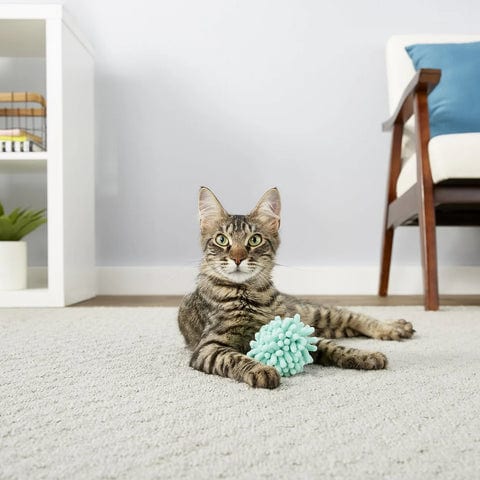 KONG Cat Moppy Ball professional product photo ready to upload to shopify