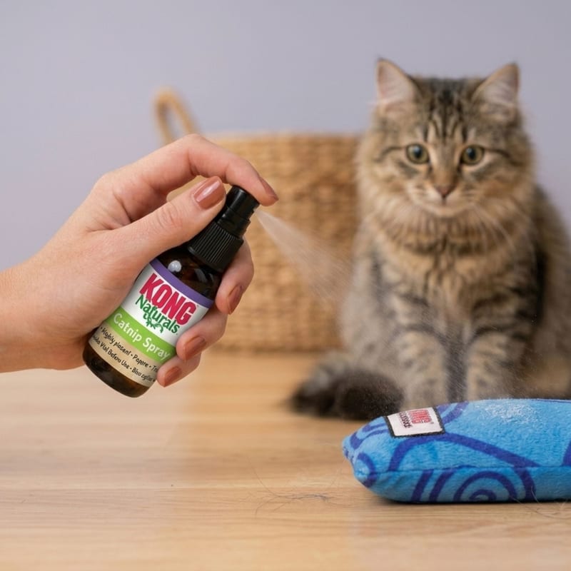 KONG Cat Naturals Catnip Spray professional product photo ready to upload to shopify