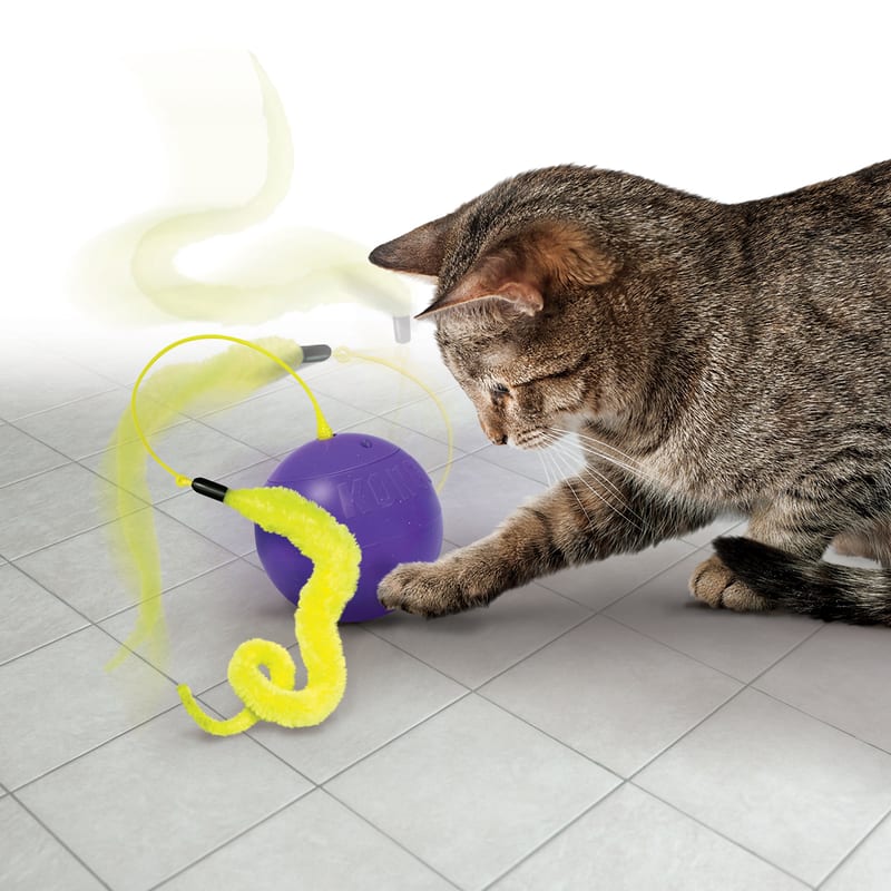 KONG Cat Purrsuit Whirlwind professional product photo ready to upload to shopify