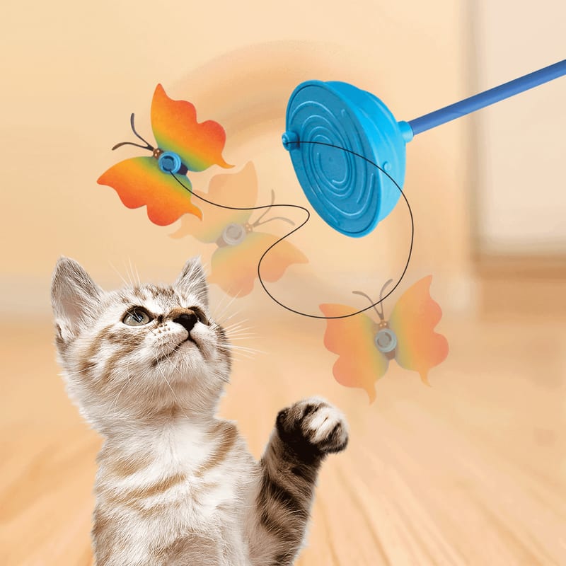 KONG Cat Teaser Butterfly professional product photo ready to upload to shopify