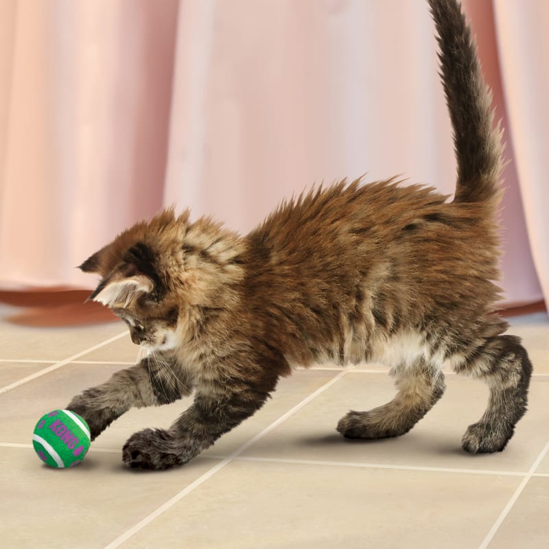 KONG Cat Tennis Balls With Bells professional product photo ready to upload to shopify