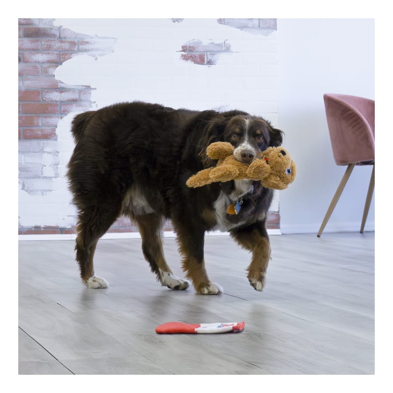 KONG Comfort Pups Goldie professional product photo ready to upload to shopify