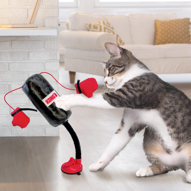 KONG Connects Punching Bag professional product photo ready to upload to shopify
