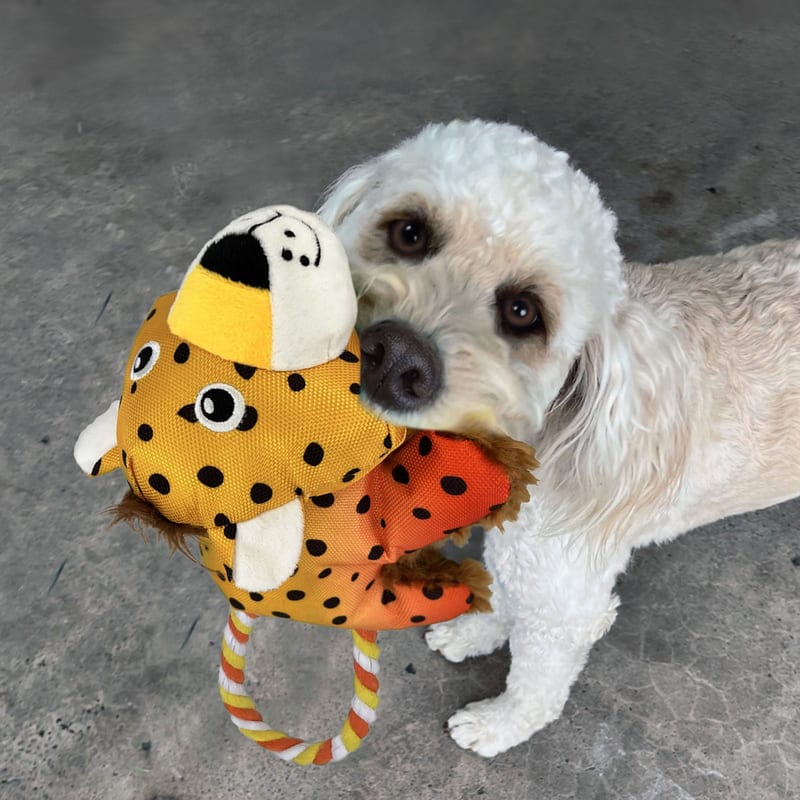 KONG Cozie Tuggz Cheetah professional product photo ready to upload to shopify