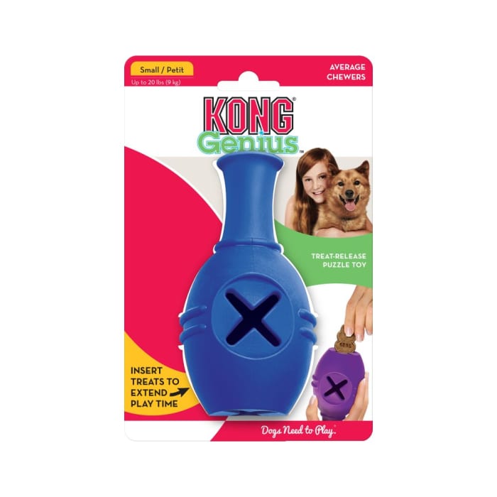 KONG Genius Leo professional product photo ready to upload to shopify