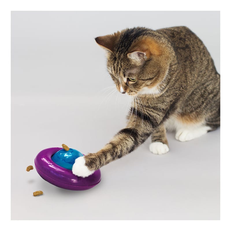 KONG Infused Cat Gyro professional product photo ready to upload to shopify