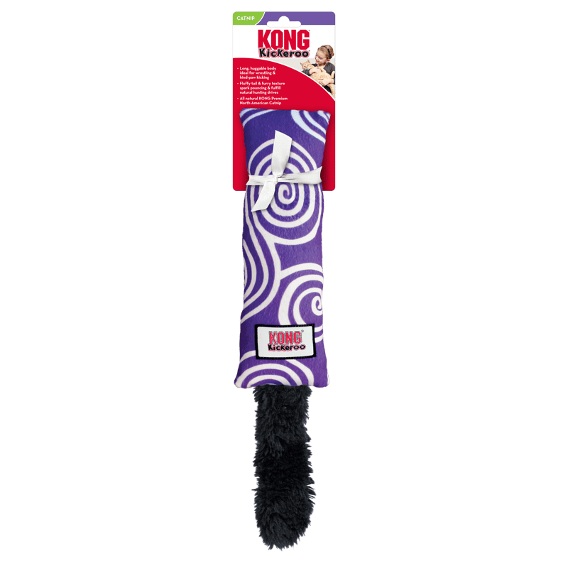 KONG Kickeroo Swirl Pattern professional product photo ready to upload to shopify