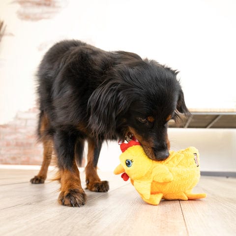 KONG Layerz Forage Hen professional product photo ready to upload to shopify