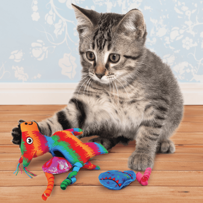 KONG Pull-A-Partz Pinata professional product photo ready to upload to shopify