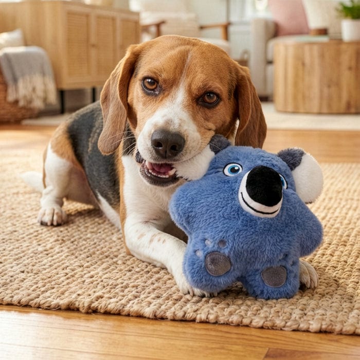 KONG Snuzzles Koala professional product photo ready to upload to shopify